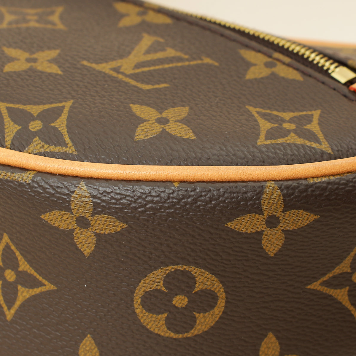 Louis Vuitton Brown Monogram Loop Bag