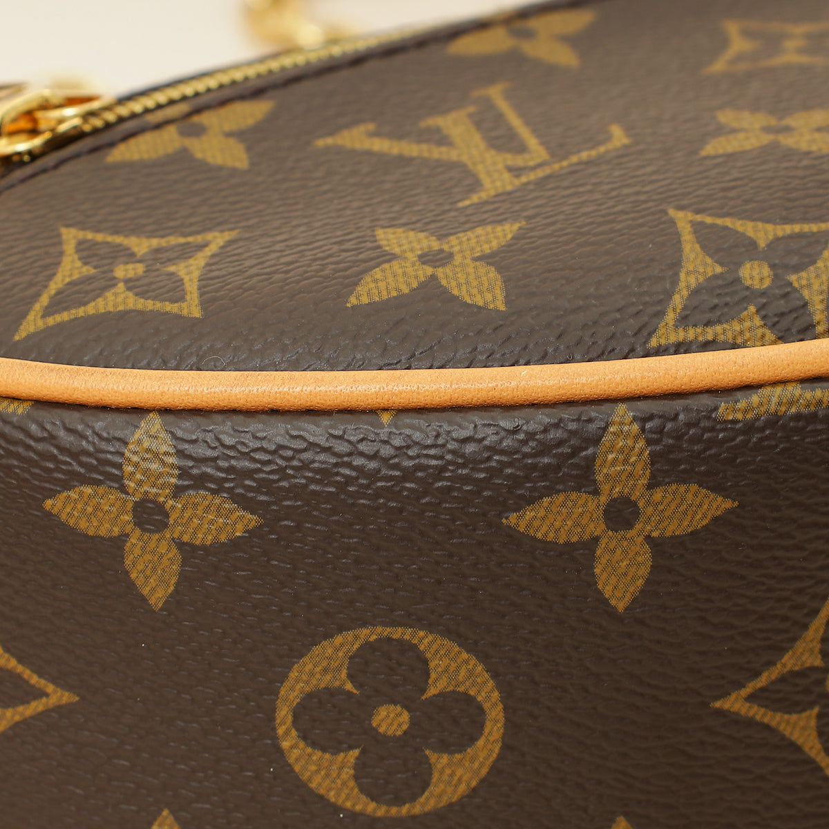Louis Vuitton Brown Monogram Loop Bag