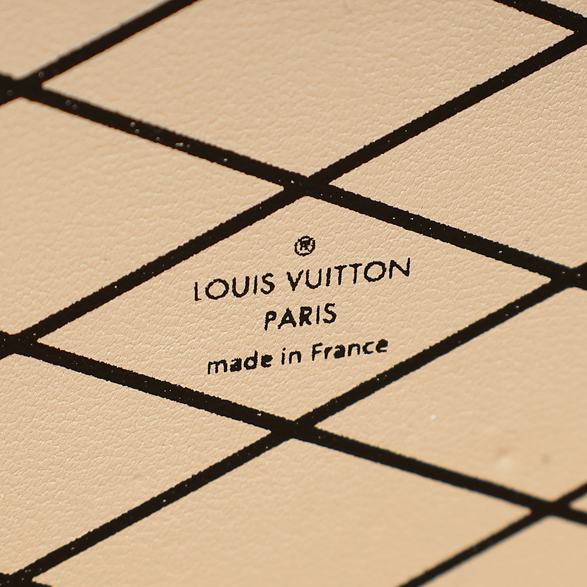 Louis Vuitton Bicolor Petite Malle Small Clutch