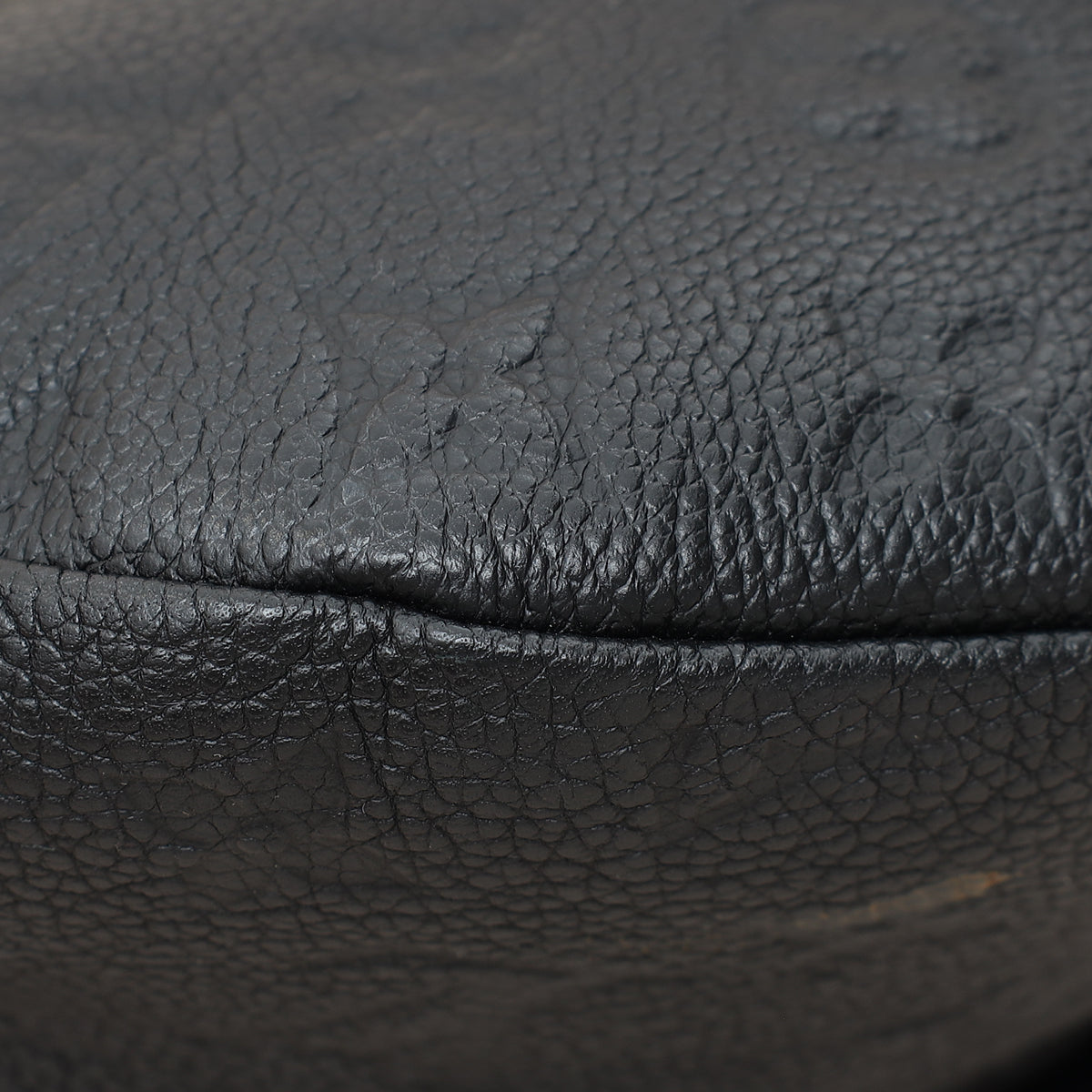 Louis Vuitton Black Monogram Empreinte Bumbag