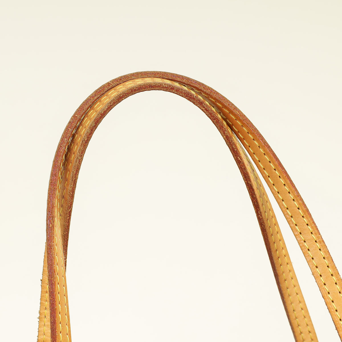Louis Vuitton Monogram Neverfull PM Bag