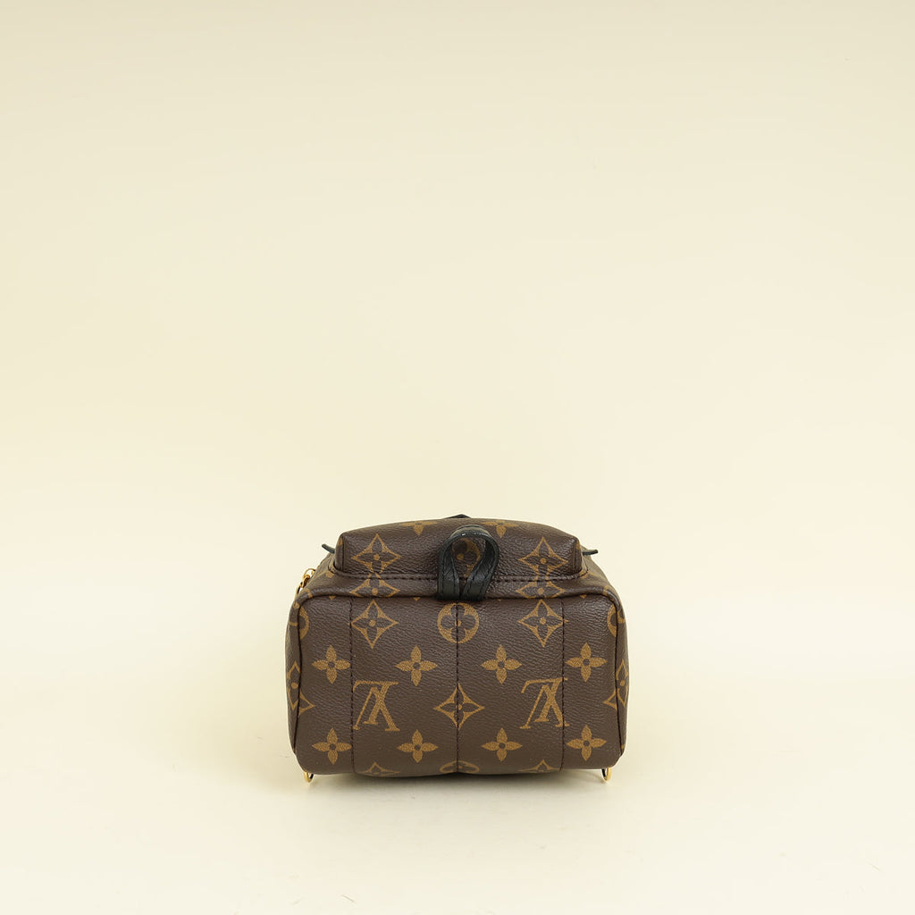 Louis Vuitton Bicolor Palm Springs Mini Backpack Bag
