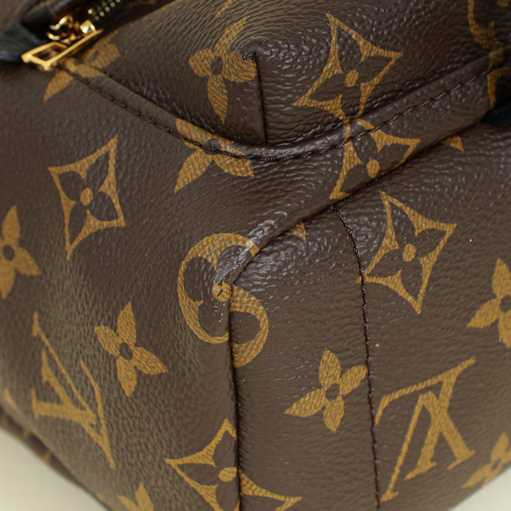 Louis Vuitton Bicolor Palm Springs Mini Backpack Bag