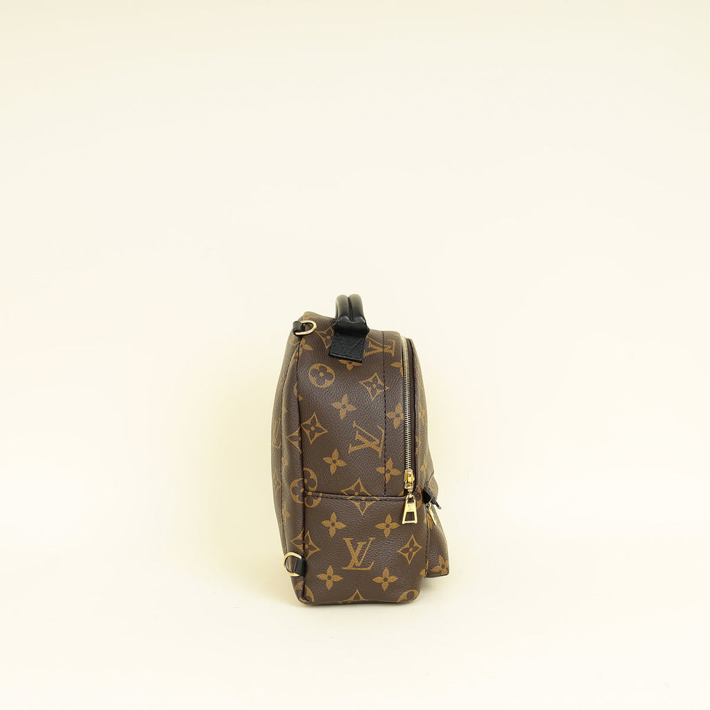Louis Vuitton Bicolor Palm Springs Mini Backpack Bag