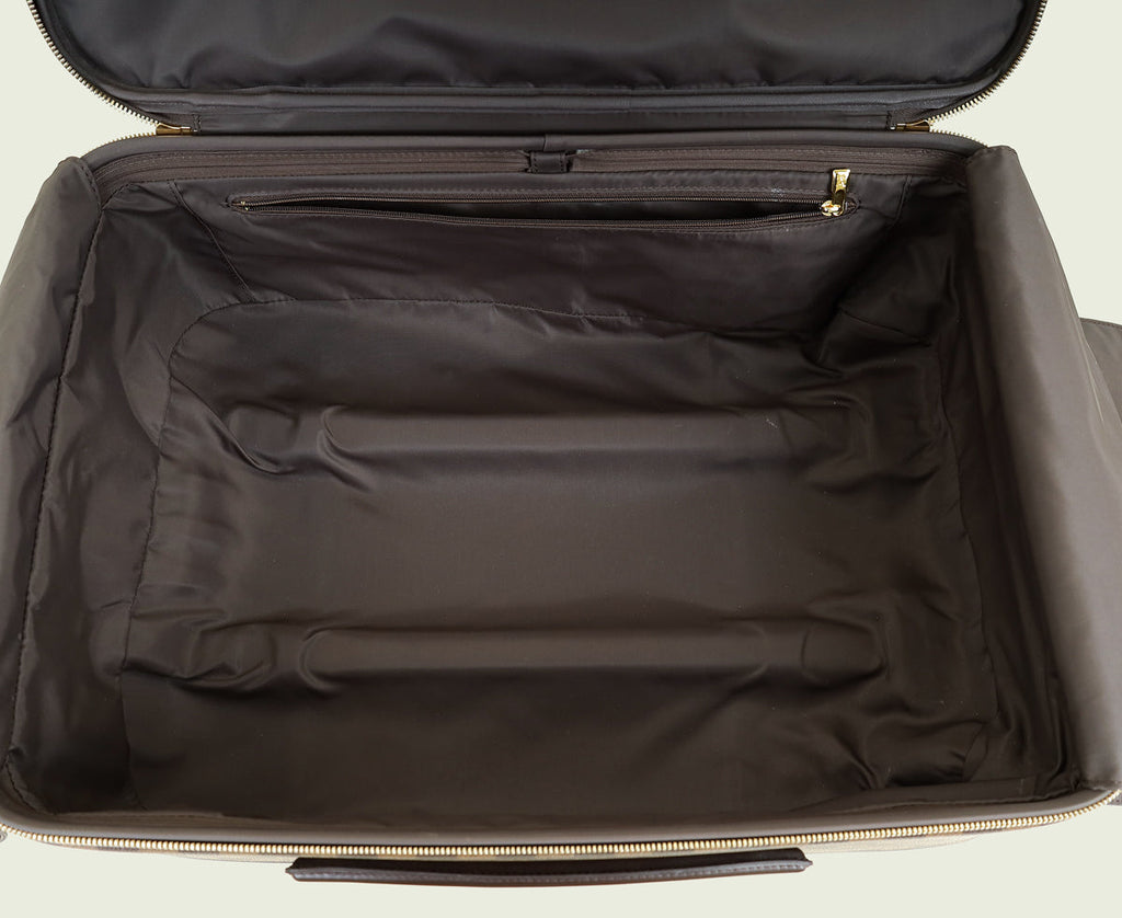 Louis Vuitton Damier Ebene Pegase 55 Trolly Bag