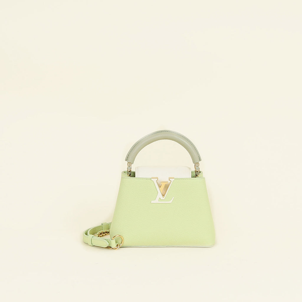 Louis Vuitton Tricolor Mini Capucines Bag