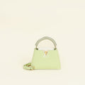Louis Vuitton Tricolor Mini Capucines Bag