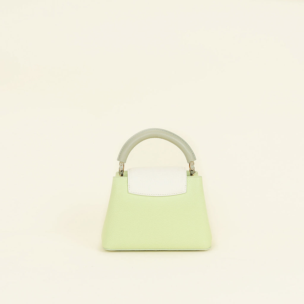 Louis Vuitton Tricolor Mini Capucines Bag