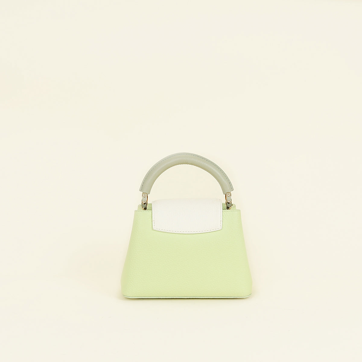 Louis Vuitton Tricolor Mini Capucines Bag