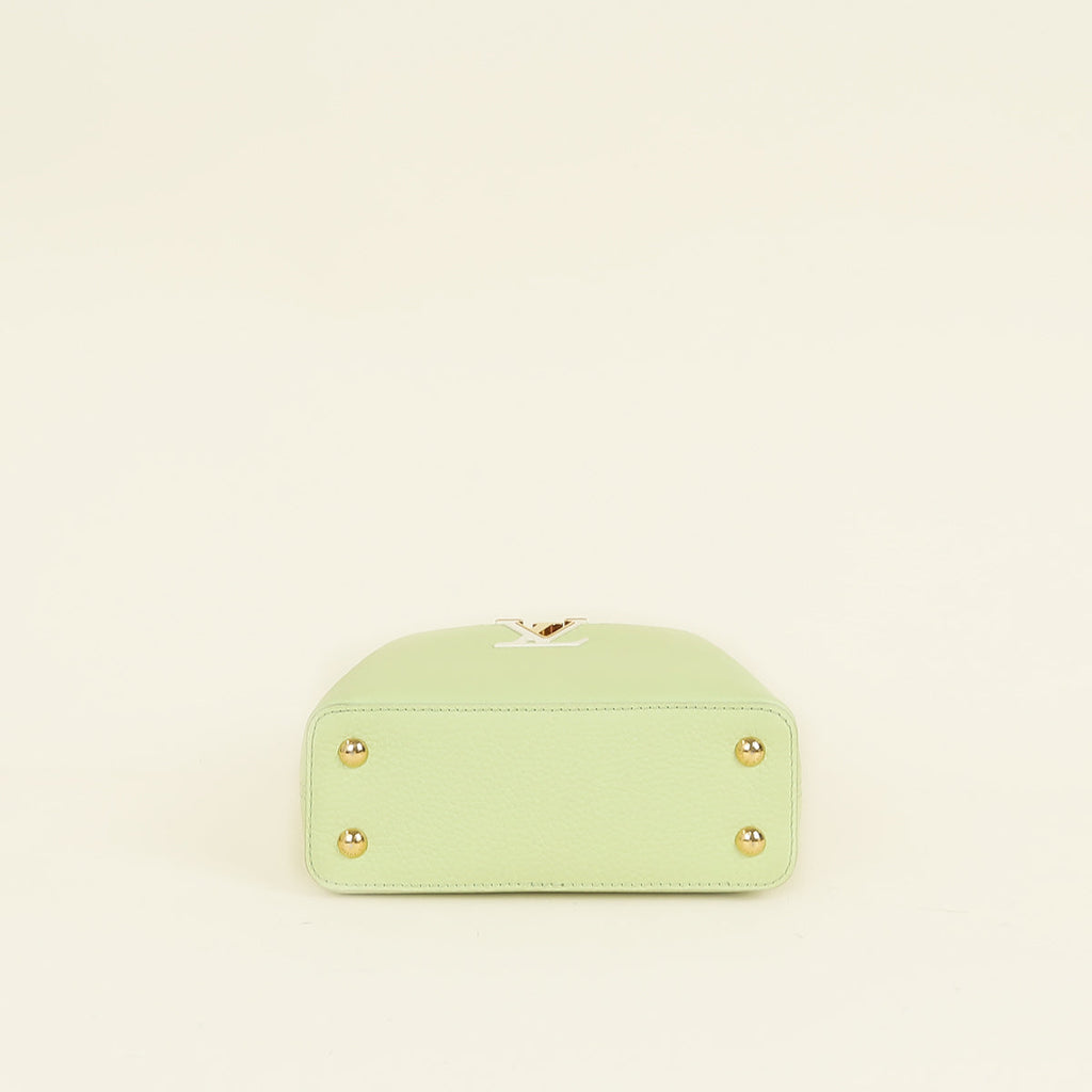 Louis Vuitton Tricolor Mini Capucines Bag