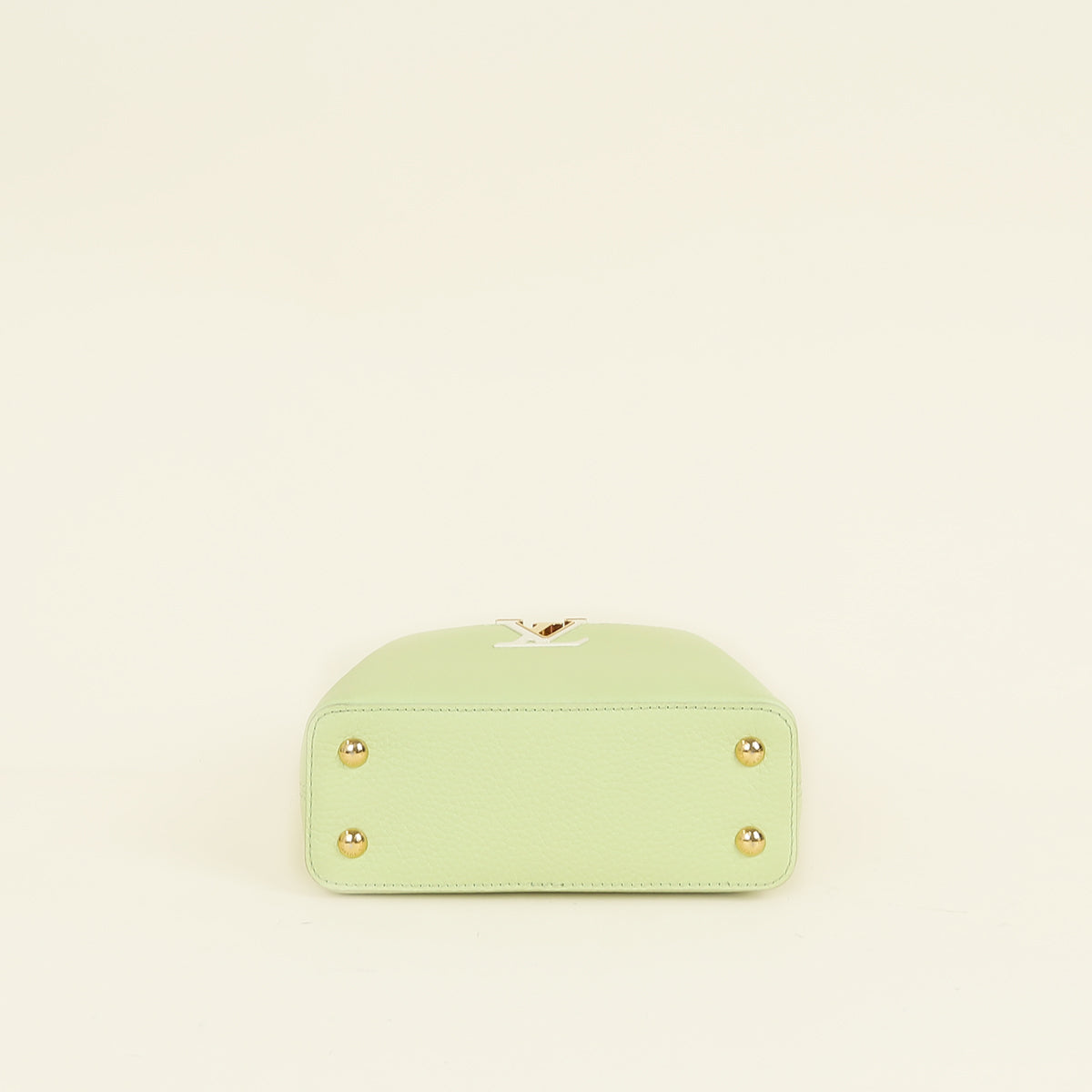 Louis Vuitton Tricolor Mini Capucines Bag
