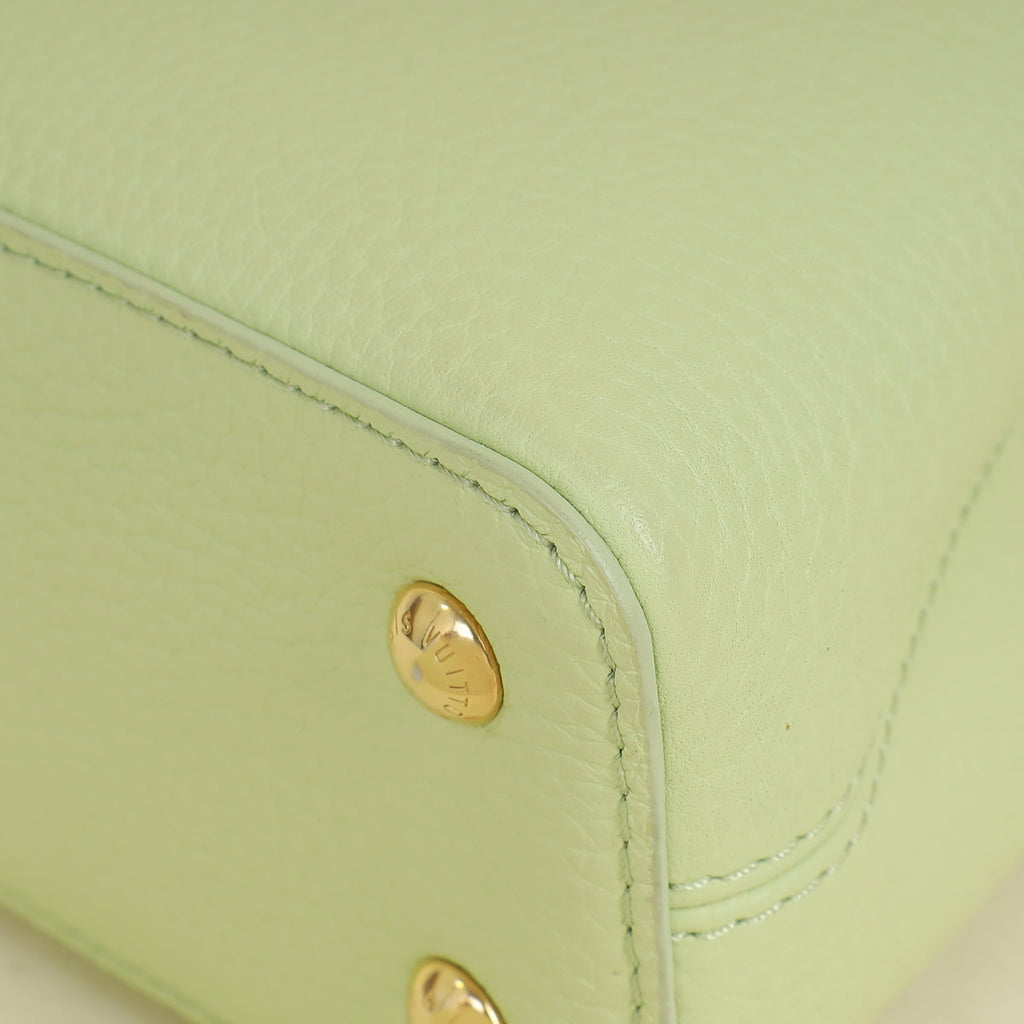 Louis Vuitton Tricolor Mini Capucines Bag