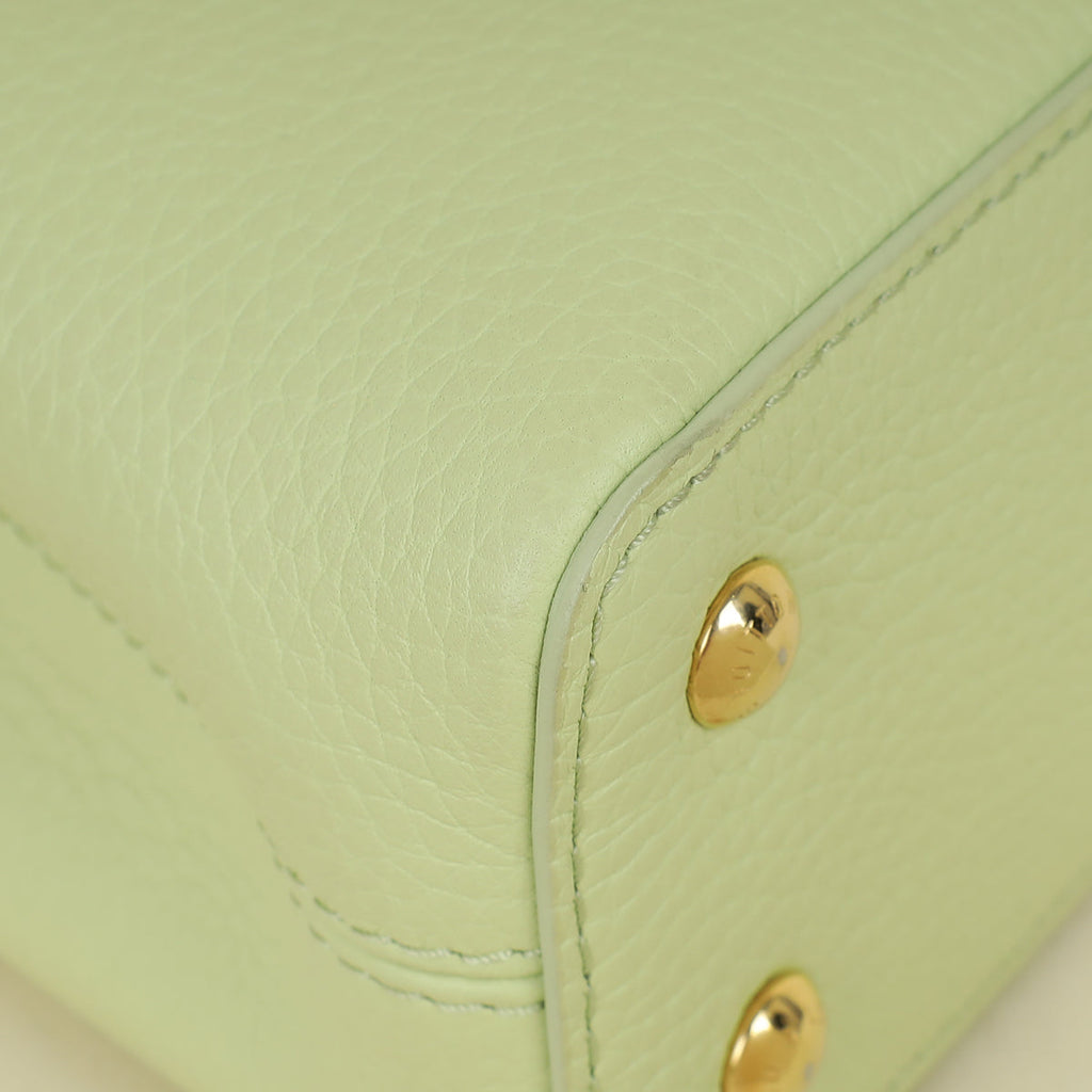 Louis Vuitton Tricolor Mini Capucines Bag