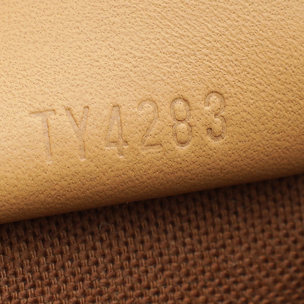 Louis Vuitton Brown Monogram Speedy Nano Bag