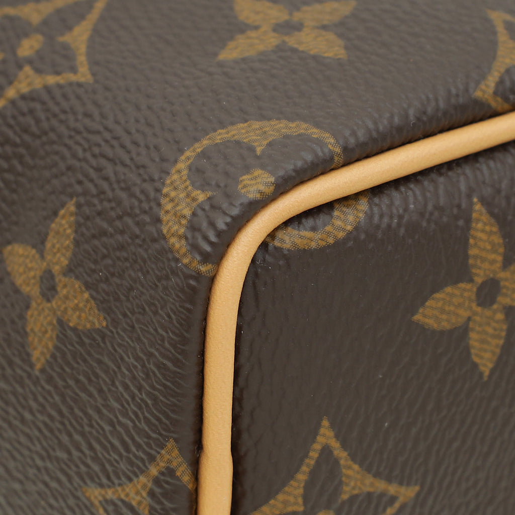 Louis Vuitton Brown Monogram Speedy Nano Bag
