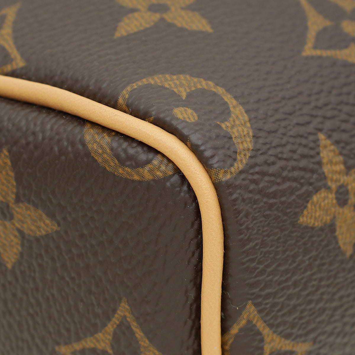 Louis Vuitton Brown Monogram Speedy Nano Bag
