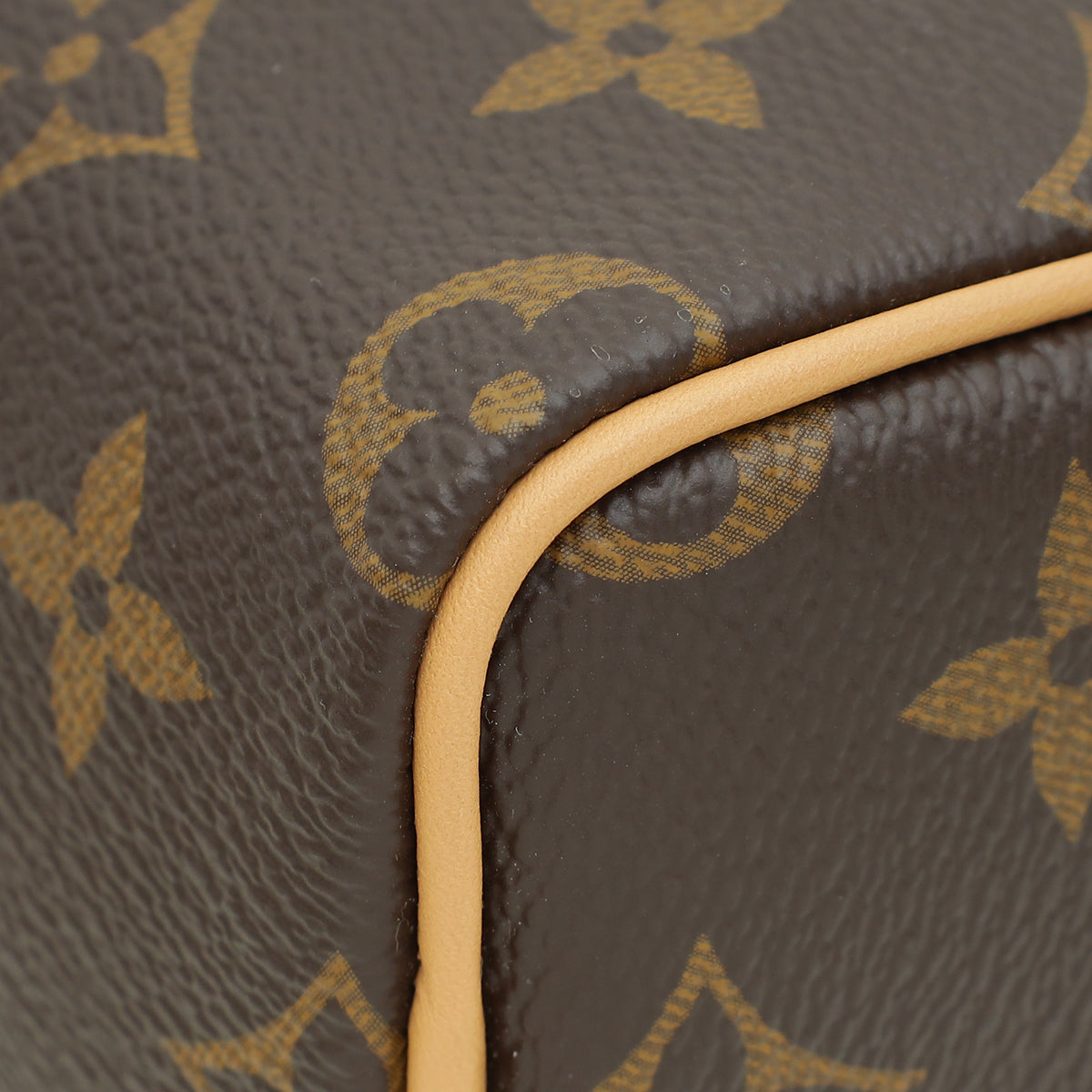 Louis Vuitton Brown Monogram Speedy Nano Bag