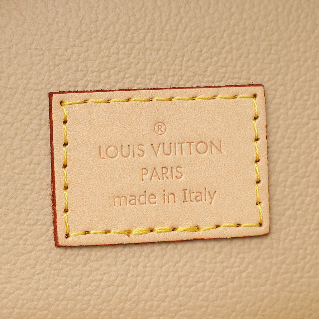 Louis Vuitton Brown Monogram Nice Nano Vanity Case
