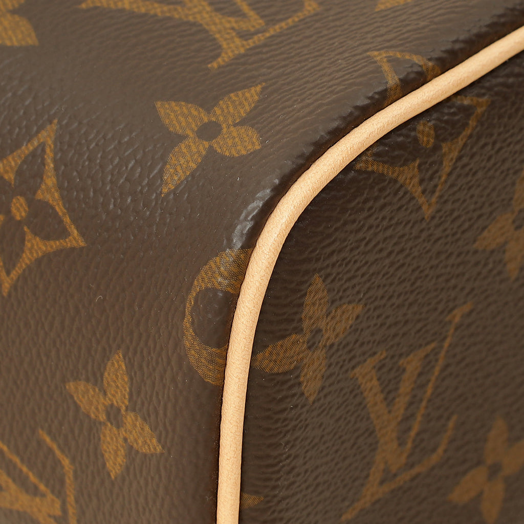 Louis Vuitton Brown Monogram Nice Nano Vanity Case