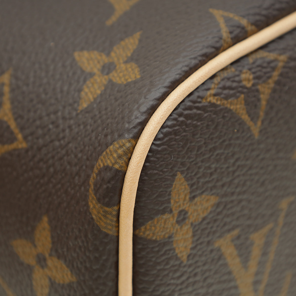 Louis Vuitton Monogram Nano Nice Bag