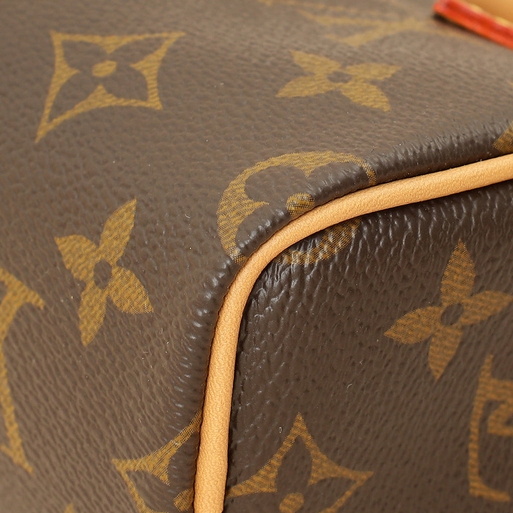Louis Vuitton Monogram Nano Speedy Bag