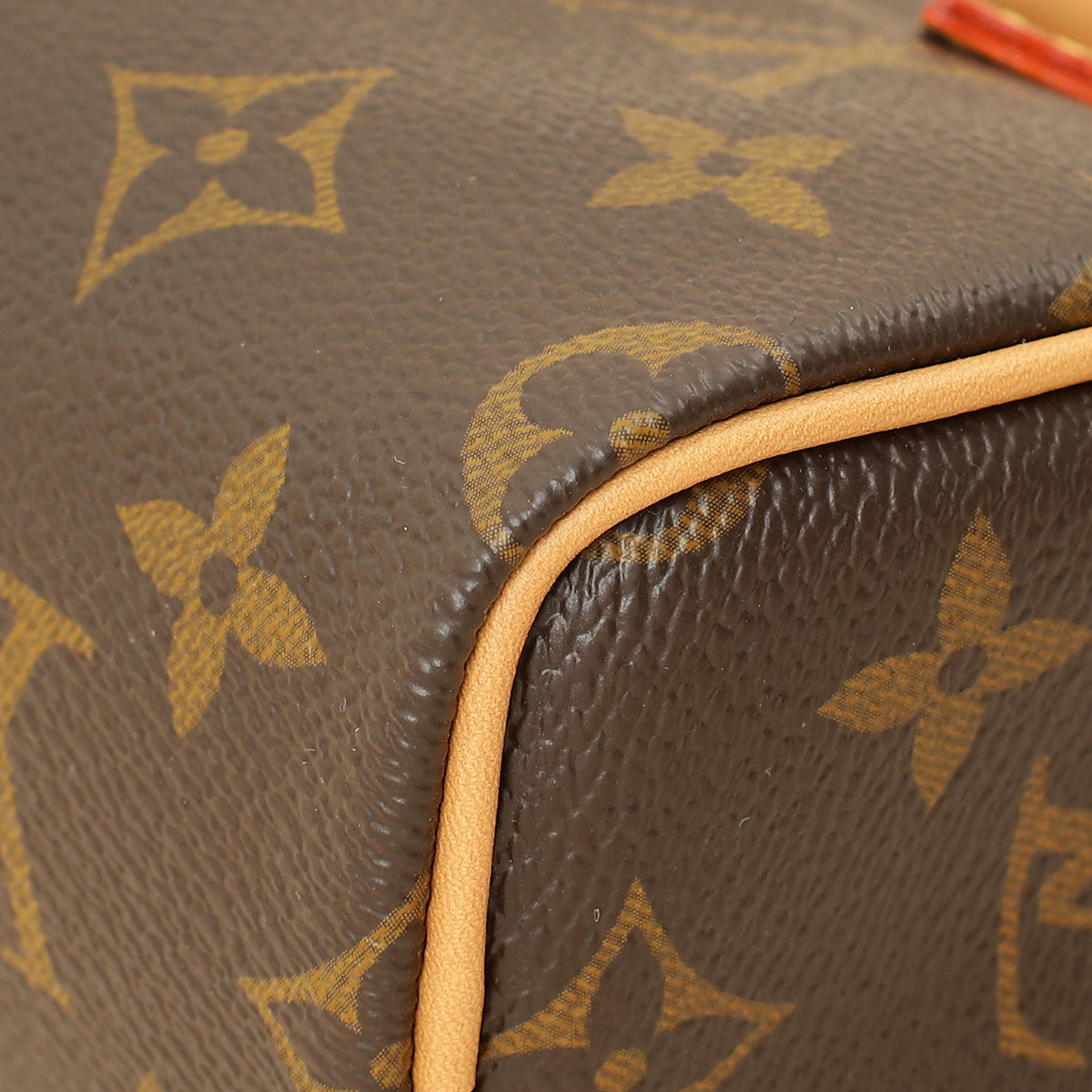 Louis Vuitton Monogram Nano Speedy Bag