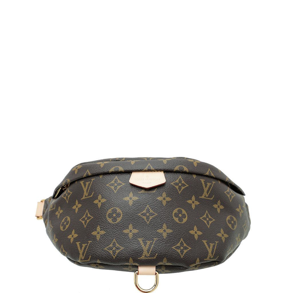 Louis Vuitton Brown Monogram Bumbag