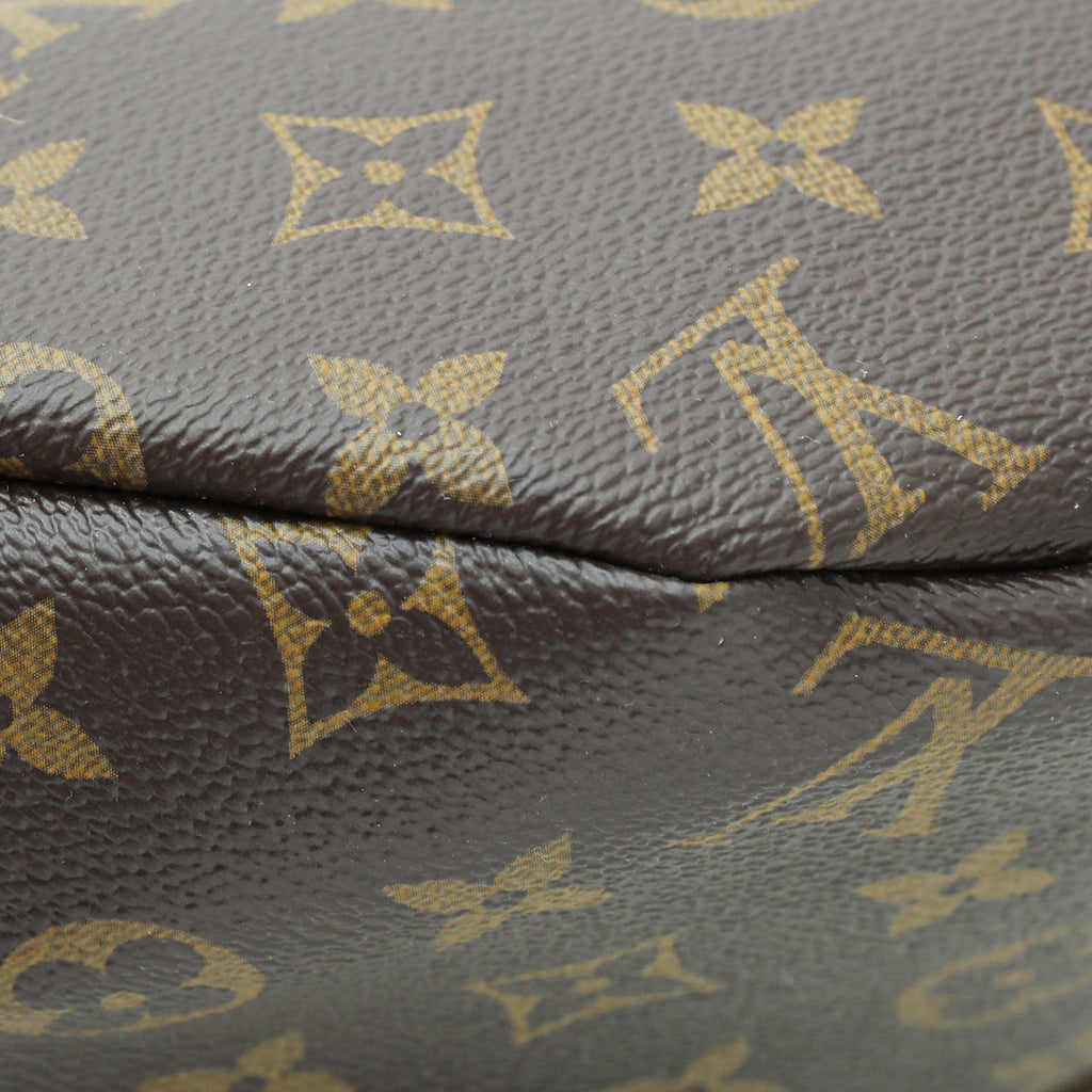 Louis Vuitton Brown Monogram Bumbag