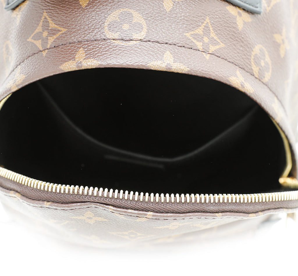Louis Vuitton Monogram Palm Spring PM BackPack Bag