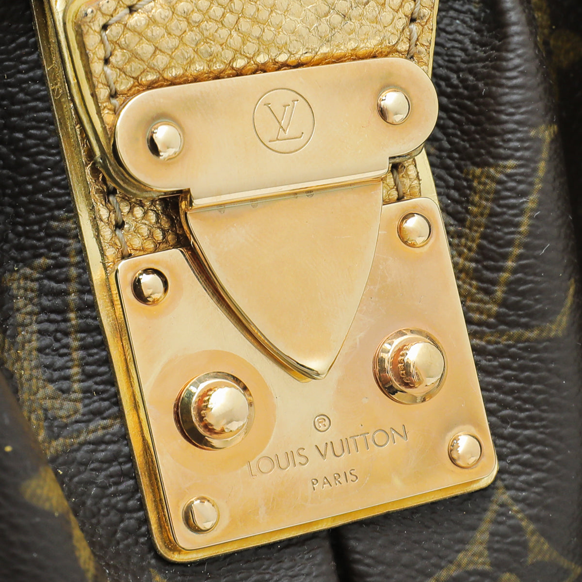 Louis Vuitton Bicolor Monogram Leopard Adele Bag