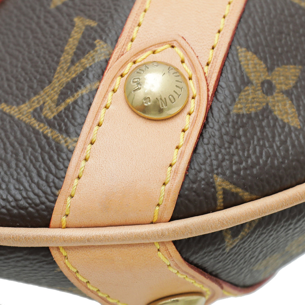 Louis Vuitton Brown Monogram Ltd.Ed Leonor Bag