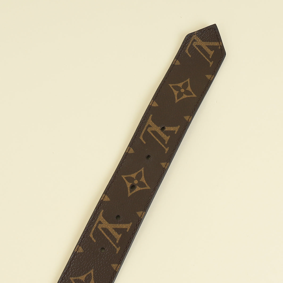 Louis Vuitton Bicolor Monogram Reversible Palm Spring Belt 28