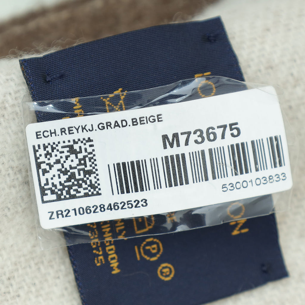 Louis Vuitton Bicolor Reykjavik Gradient Cashmere Scarf