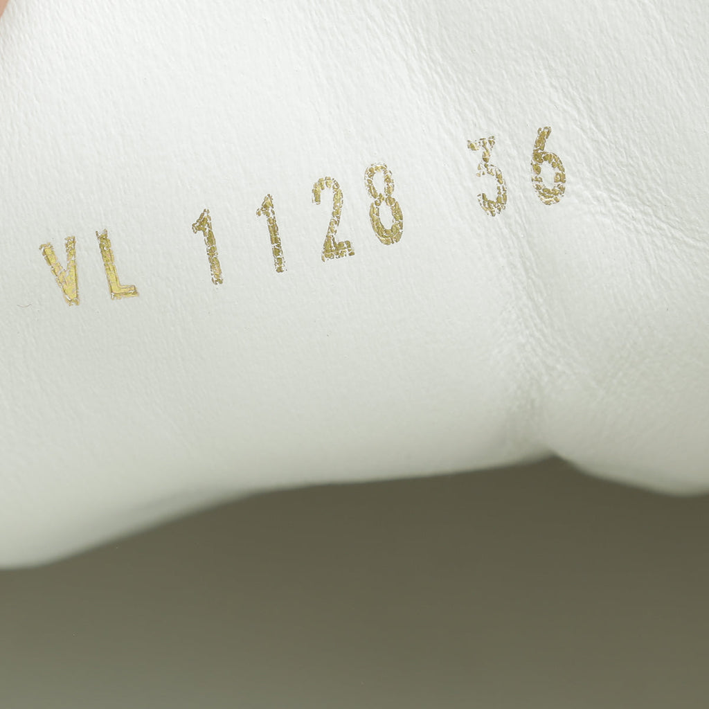 Louis Vuitton Bicolor Run Away Sneakers 36