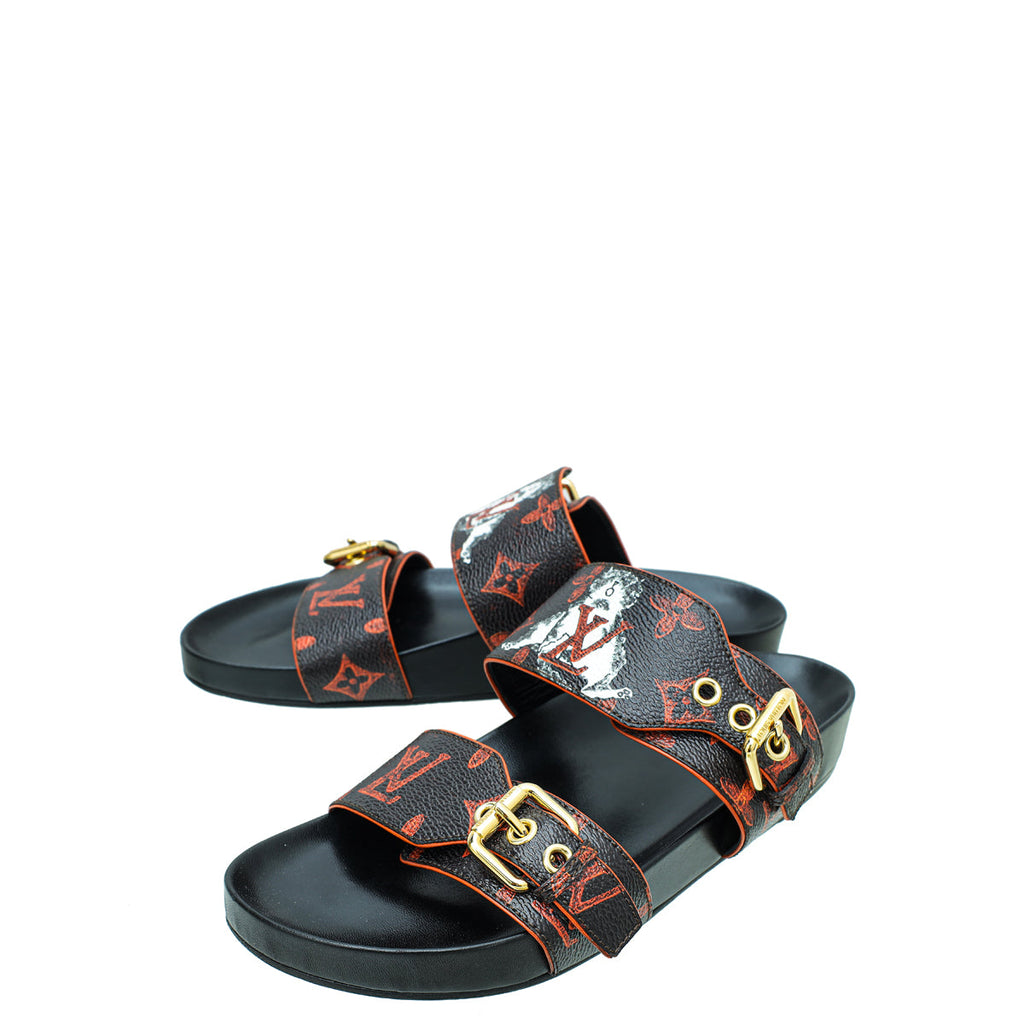 Louis Vuitton Bicolor Catogram Bom Dia Flat Mules 38