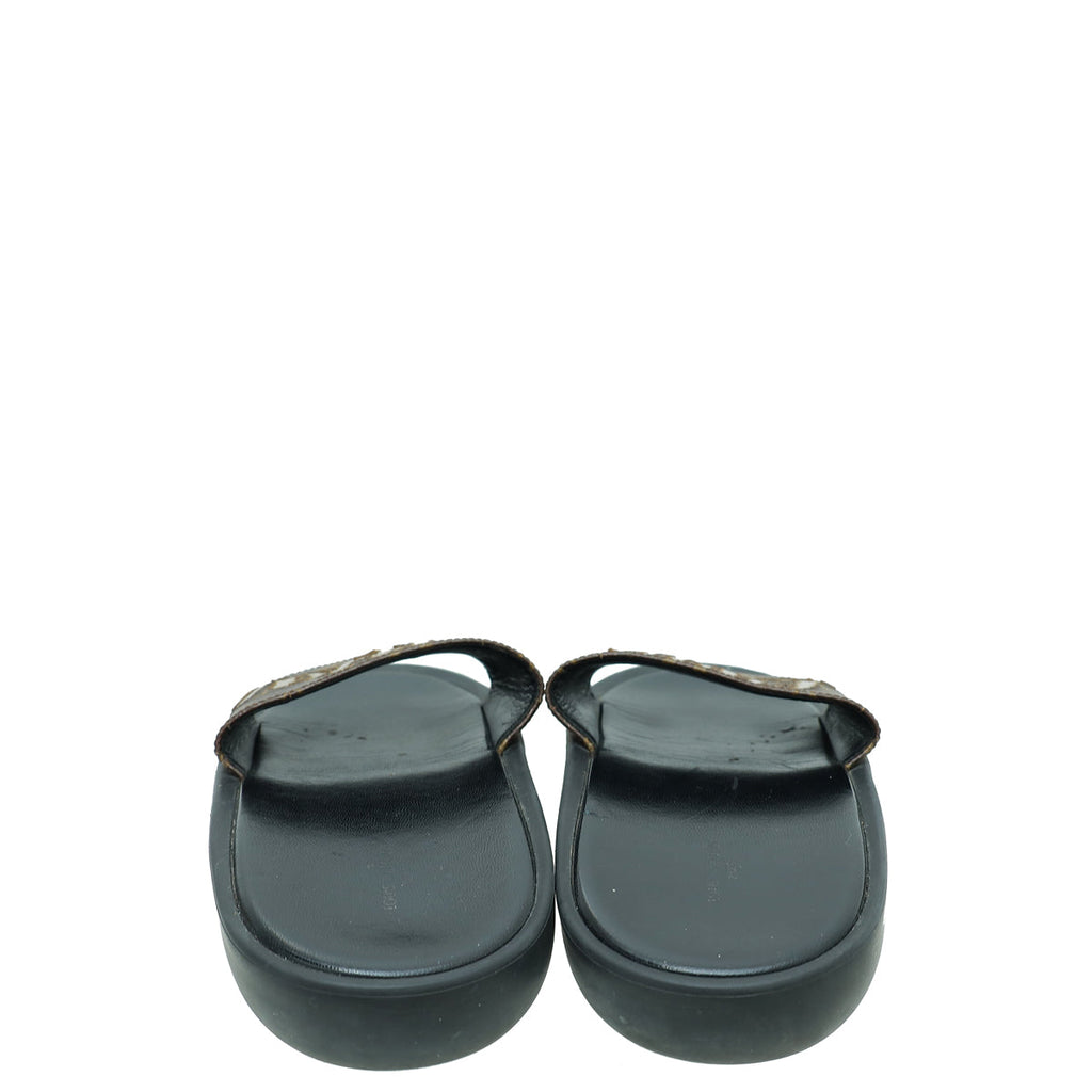 Louis Vuitton Monogram Logo Sunbath Slide Sandals 39