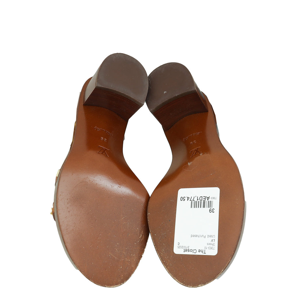 Louis Vuitton Monogram Passenger Sandals 39