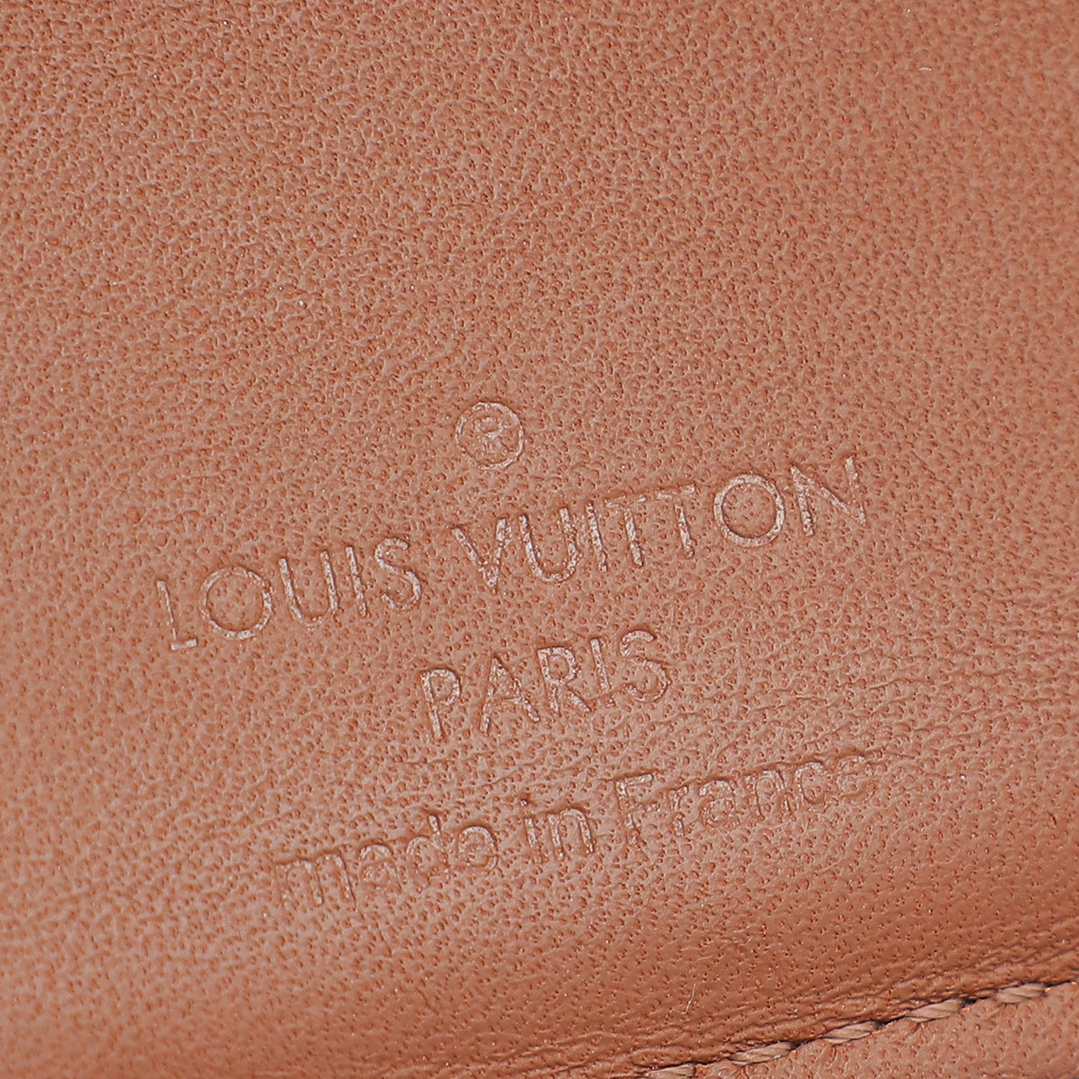 Louis Vuitton Brown Nomade Multiple Wallet