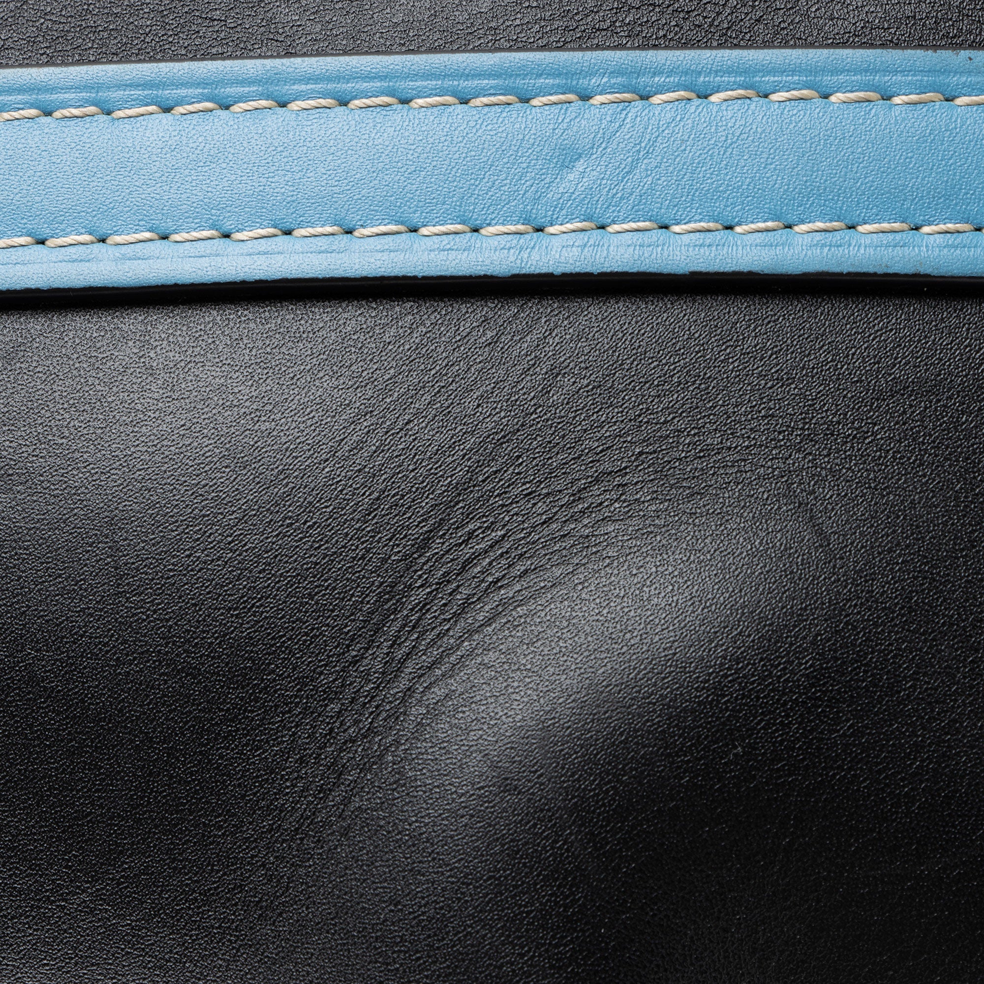 Loewe Calfskin Gate Small Crossbody