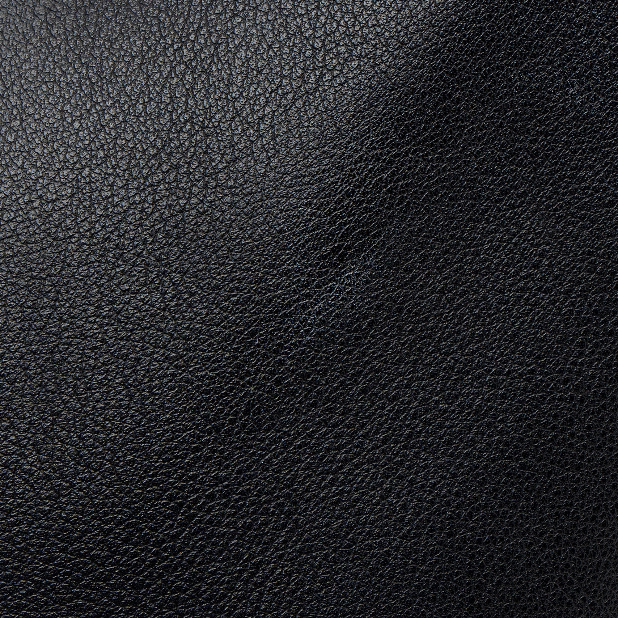 Loewe Calfskin Hammock Mini Shoulder Bag