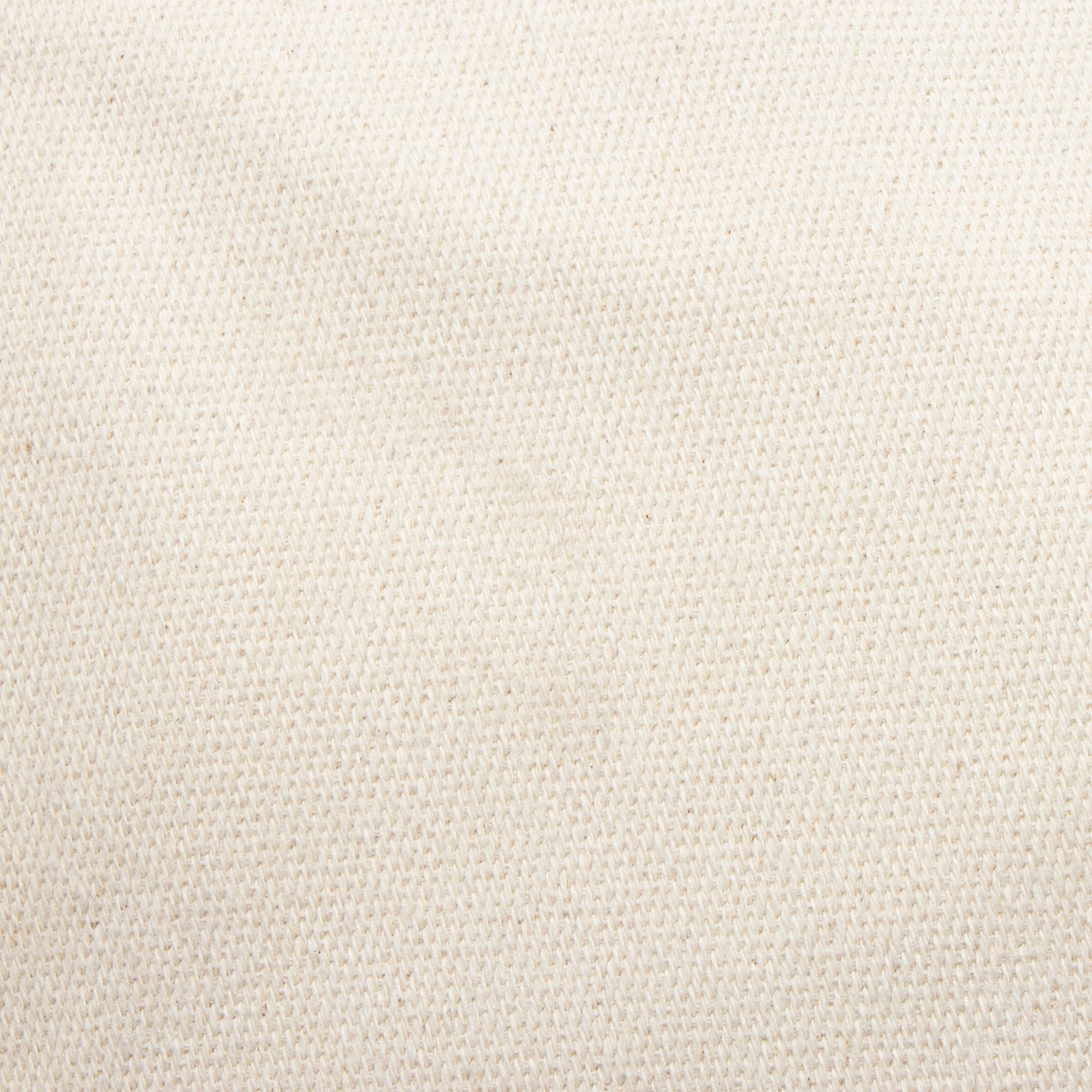 Loewe Canvas Calfskin Cushion Small Tote