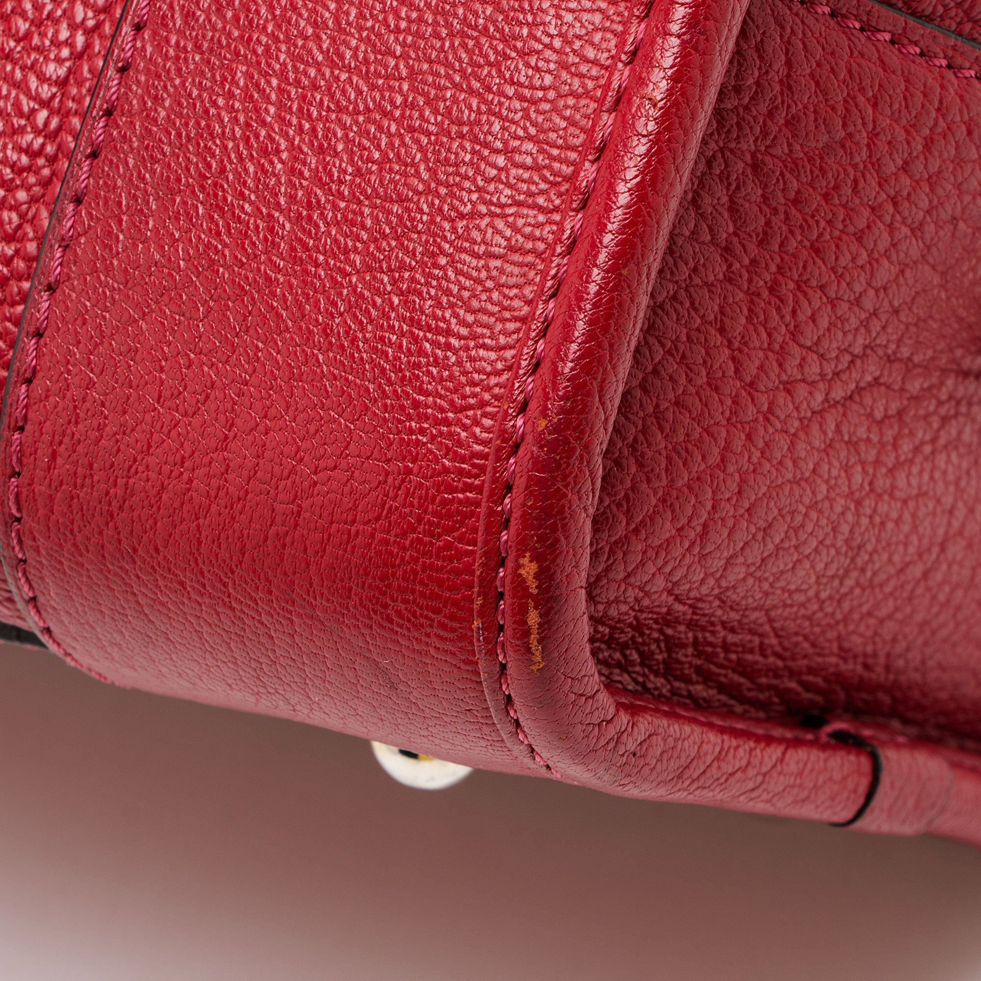 Loewe Leather Amazona 28 Satchel