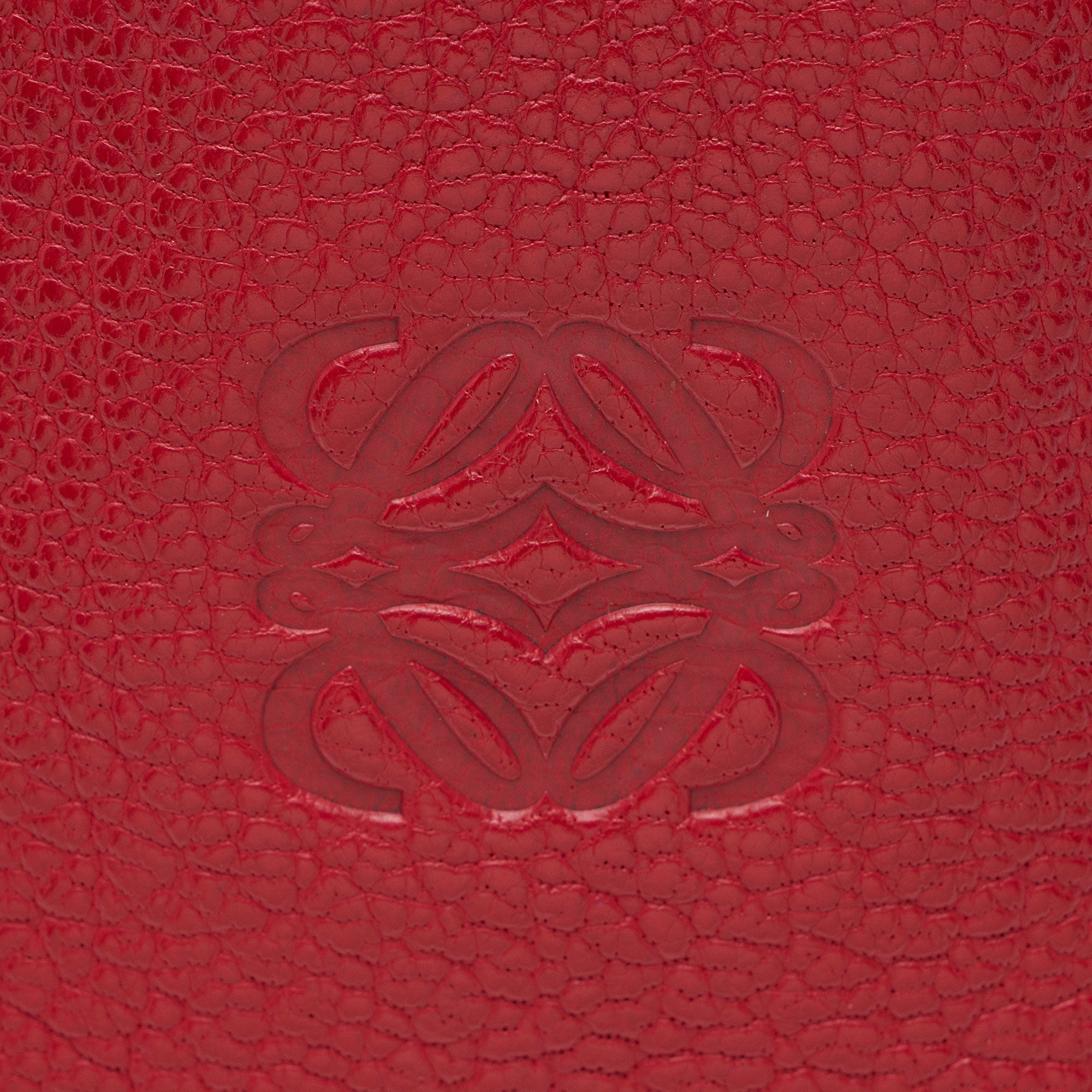 Loewe Leather Amazona 28 Satchel