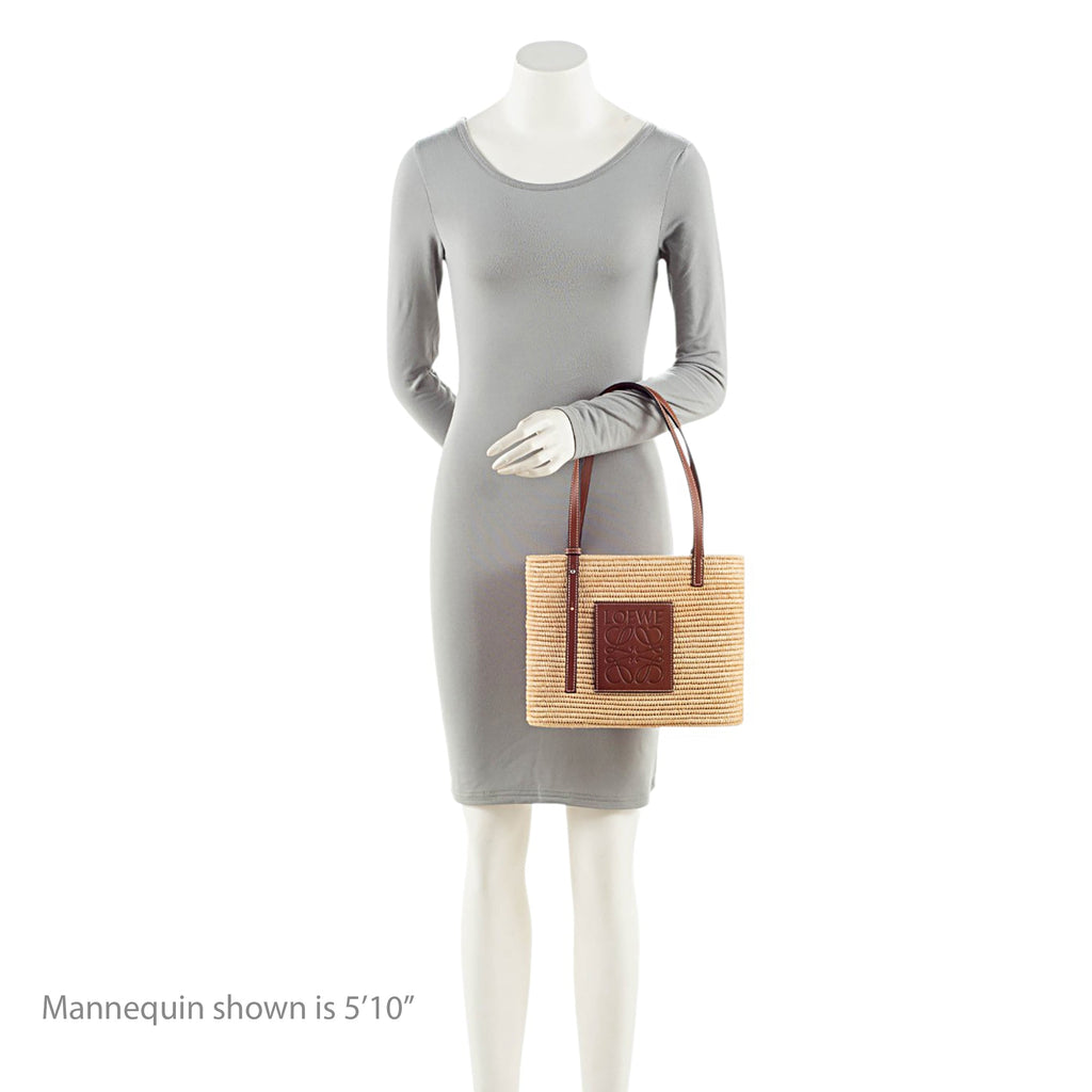 Loewe Raffia Square Basket Small Tote
