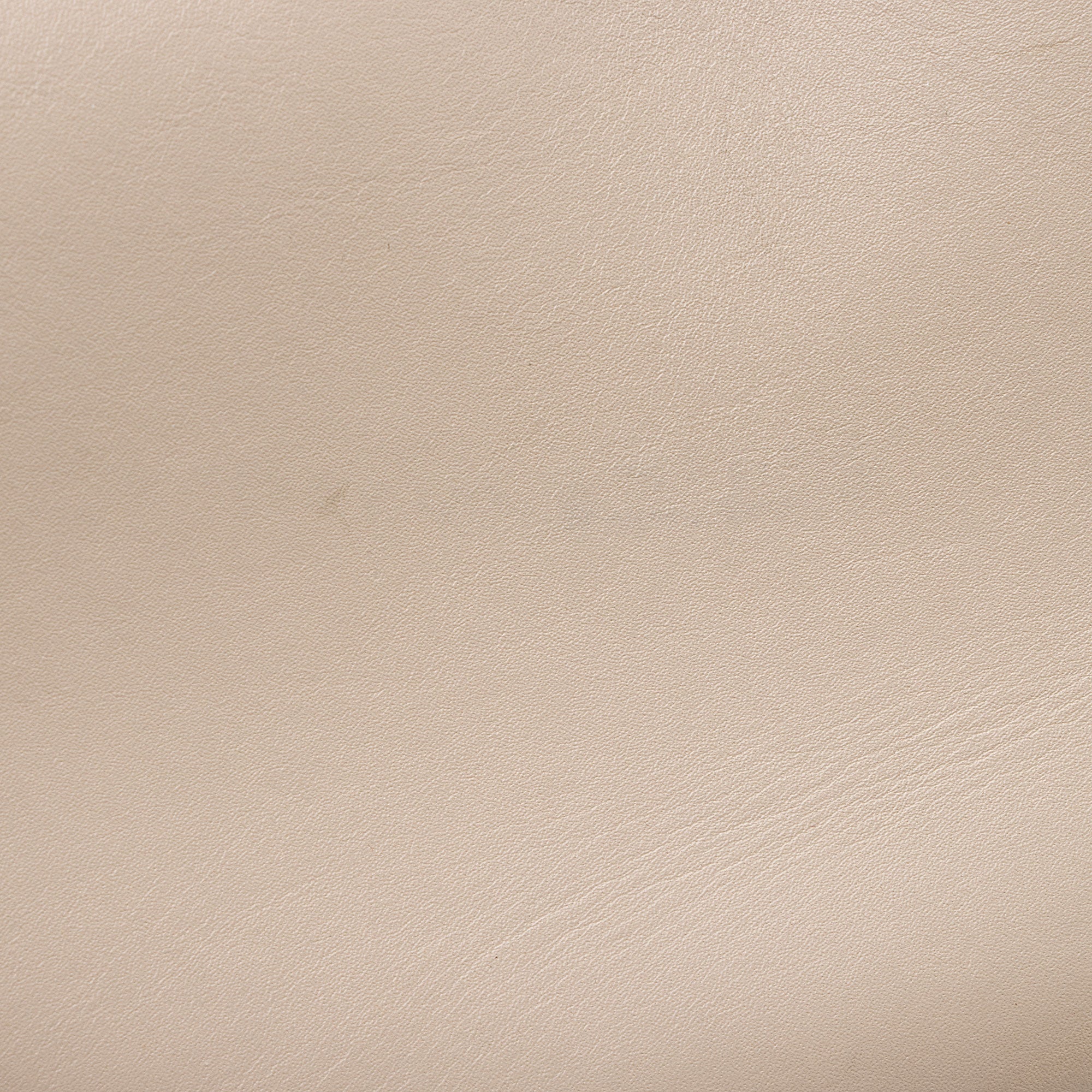 Loewe Satin Calfskin Jacquard Luna Small Bag