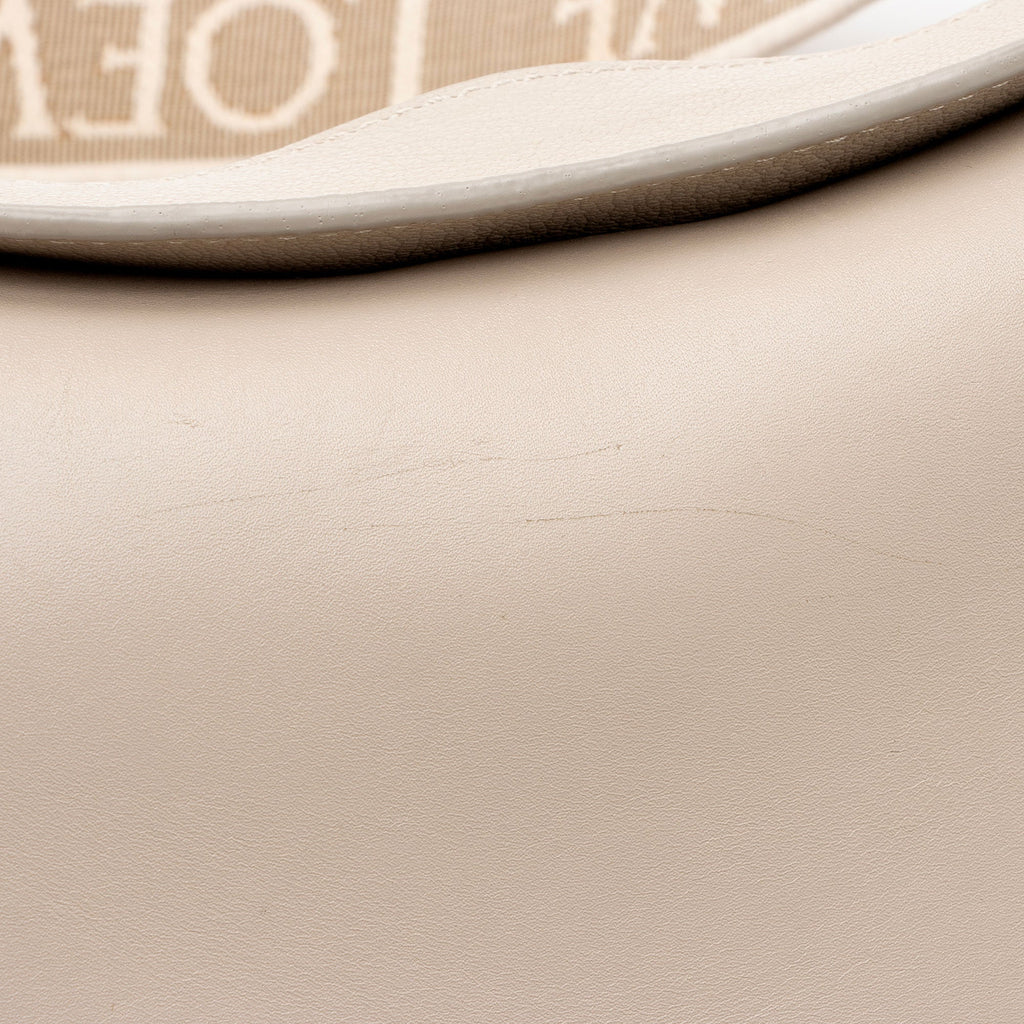 Loewe Satin Calfskin Jacquard Luna Small Bag