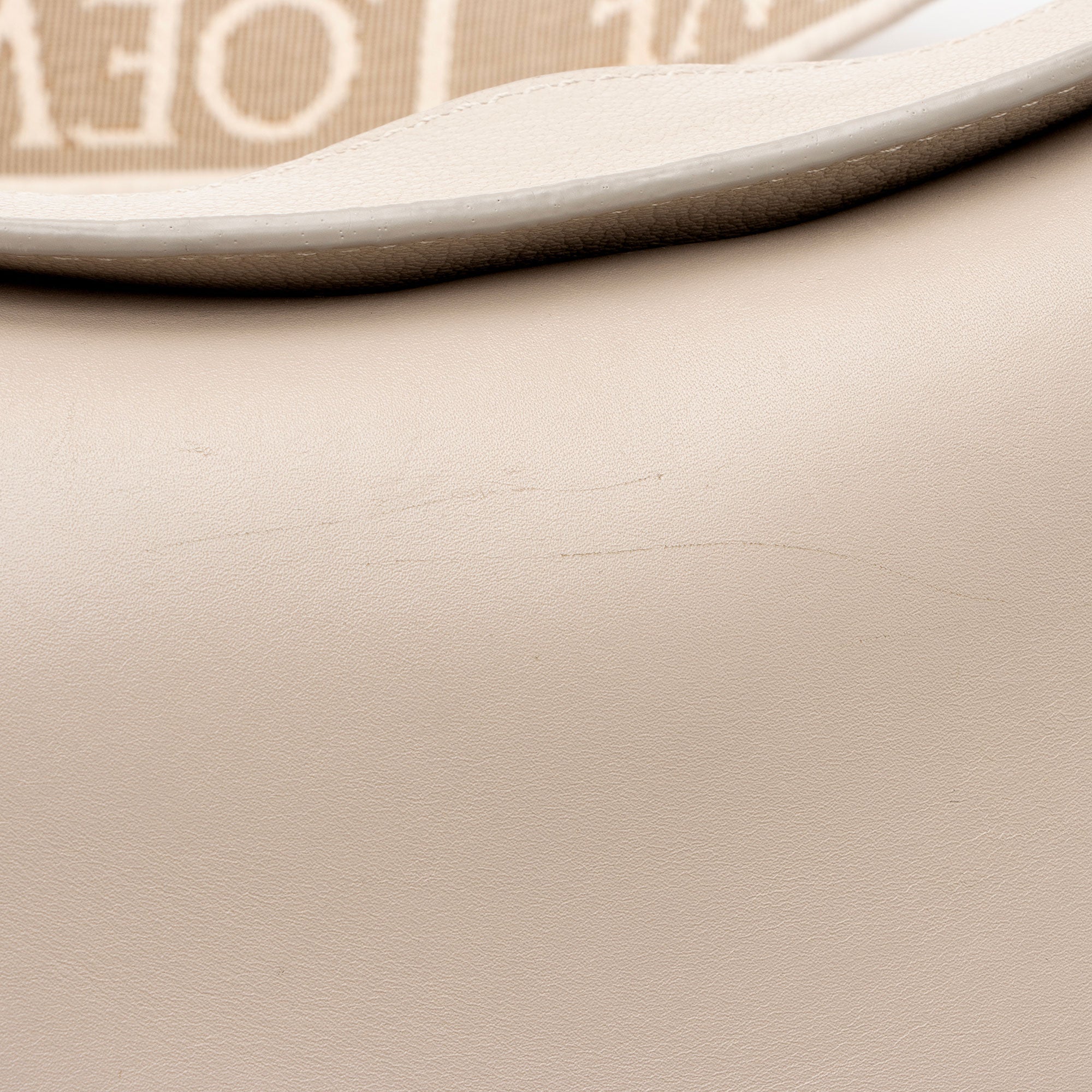 Loewe Satin Calfskin Jacquard Luna Small Bag