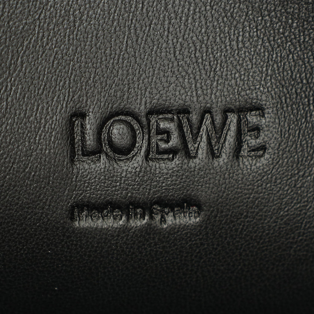 Loewe Bicolor Python Repeat T Pouch