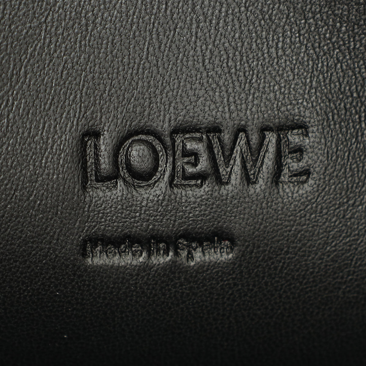 Loewe Bicolor Python Repeat T Pouch