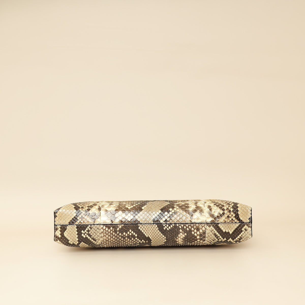 Loewe Bicolor Python Repeat T Pouch